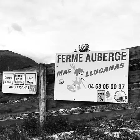 Bed and breakfast Mas Lluganas