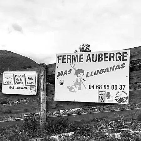 Mas Lluganas Mosset
